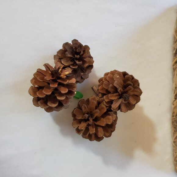 Natural Unscented Wooded Pinecone Clip Ornaments – Holiday Décor – Set of (2) - Picture 2 of 7